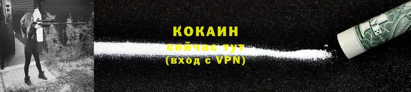 OMG tor  Кировск  КОКАИН Columbia 