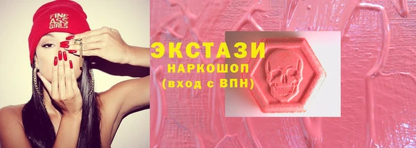 шишки Новодвинск
