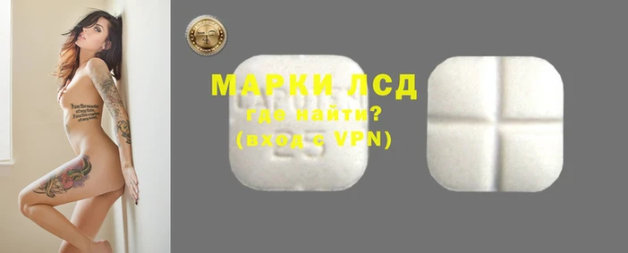 шишки Новодвинск
