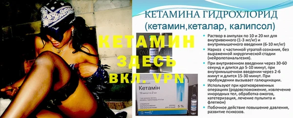 шишки Новодвинск