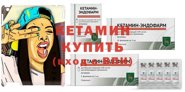 шишки Новодвинск