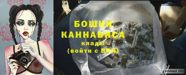 2c-b Новозыбков