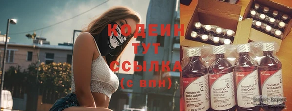 2c-b Новозыбков
