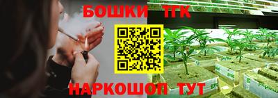 мдпв Дубна
