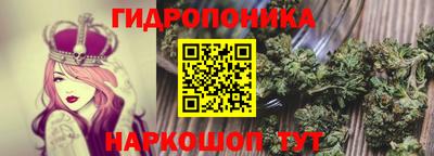 мдпв Дубна
