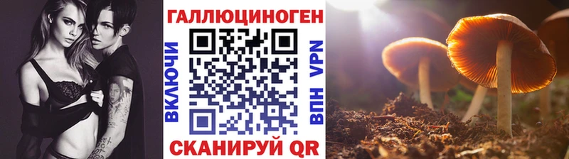 Галлюциногенные грибы прущие грибы  дарнет шоп  МЕГА зеркало  Кировск 