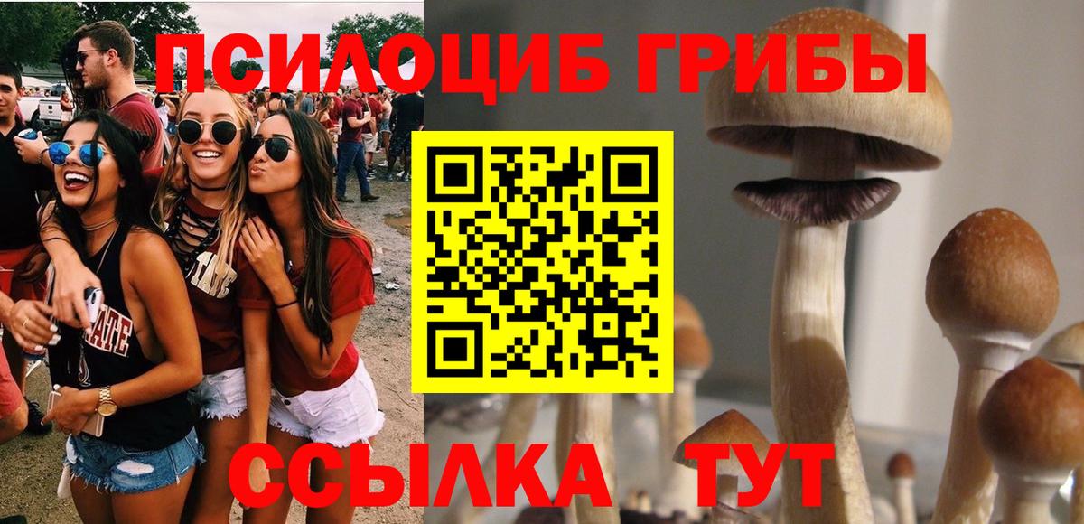 МДМА  ГАШ  А ПВП СОЛЬ кристаллы  Cocaine  Купить наркотики  Экстази  Мефедрон   Кировск  Каннабис 